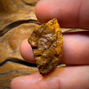 Wildcard! 38.4cts - Tribal Yowah Nut Opal Rough Piece