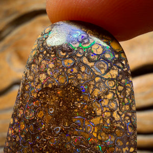 72.7cts - Tan Tribal Yowah Nut Opal. Red Multicolour