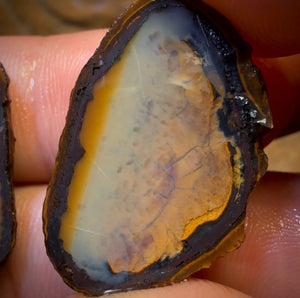 OpalFest Bargain Card! 35.3cts - Yowah Nut Partial Crystal Centre Rough Specimen Pair