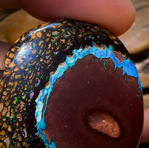 258.1cts - “Crazy Eyes” Top Tribal Yowah Nut Opal Pair. Double Sided