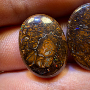 50.8cts - 3x Australian Tribal Boulder Opal’s. Wholesale Parcel