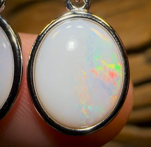 Sterling Silver - South Australian White Opal Hook Earrings - Opal Whisperers