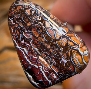 12.7cts - Coolest Art of Opal Pattern Queensland Boulder Opal from Koroit