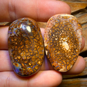 Half Price Card! 192cts - Yowah Nut Tribal / Crystal Centre Opal Pair. Double Sided