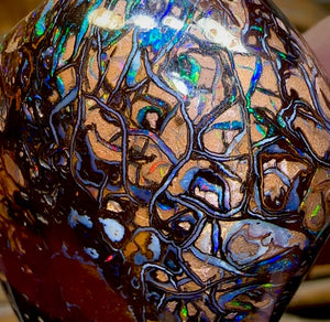 342.9cts - Large Polished Tribal Koroit Nut Opal Specimen - Opal Whisperers