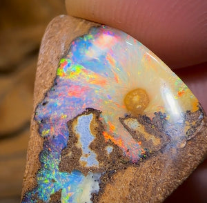 9.1cts - “Rainbow Parrot”Picture Queensland Boulder Seam Australian Opal. - Opal Whisperers