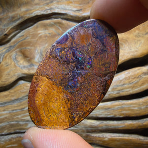 61.9cts - Rare Yowah Nut Kernel Opal. Top Picture Stone