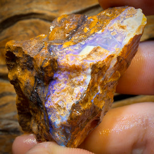 270.8cts - Opalised Wood/Vegetation Fossil Rough Piece from Yowah