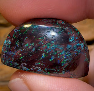 41.1cts - Tribal Koroit Nut Opal Specimen. Double Sided Rare Half Polished Nut - Opal Whisperers