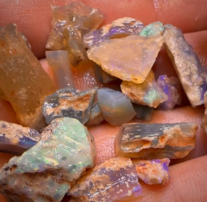 80.1cts - 24x Opalised Fossil Geological Specimens from Lightning Ridge