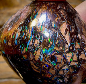 342.9cts - Large Polished Tribal Koroit Nut Opal Specimen - Opal Whisperers