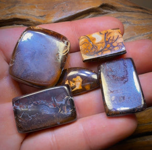 š 201.9cts - 5x Australian Tribal Boulder Opalās. Wholesale Dealers Parcel