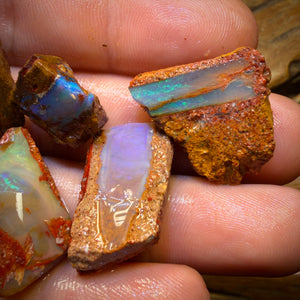 127.1cts - 6x Queensland Boulder Pipe Opal Rough Pieces