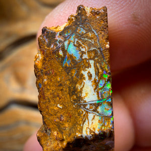 Wildcard! 38.4cts - Tribal Yowah Nut Opal Rough Piece