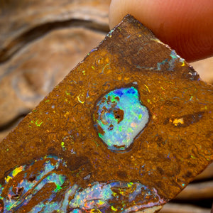 HDW 48.8cts - Yowah Nut Opal Rub. Metallic Colours!