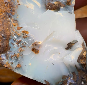 454.2cts - Large Rough Yowah Nut Opal Partial Crystal Centre - Opal Whisperers