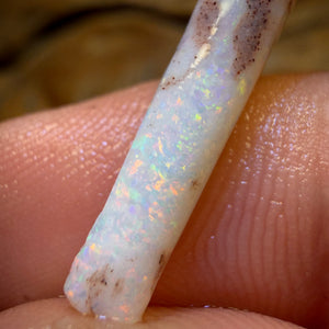Wild card! 4.6cts - Opalised Belemnite Geological Specimen from South Australia