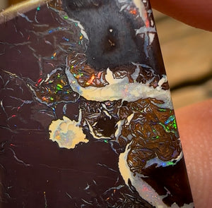 24.8cts - Queensland Boulder Opal from Koroit - Opal Whisperers