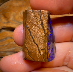 Wildcard! 98.1cts - Queensland Boulder Seam Opal Rough Specimen Piece