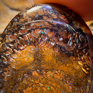 63.1cts - Tribal Queensland Boulder Opal from Yowah