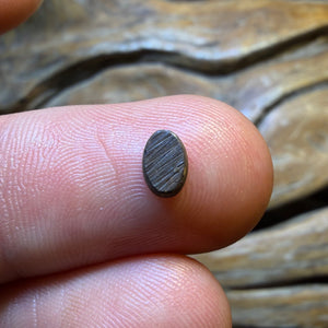 Wildcard! 0.55cts - Australian Boulder Opal Doublet