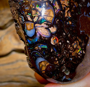 342.9cts - Large Polished Tribal Koroit Nut Opal Specimen - Opal Whisperers