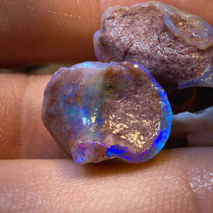 32.2cts - 3x RARE Gastropods Natural Opalised Snail Shell Fossils