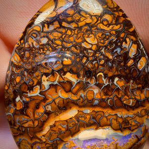 216.8cts - Tribal Queensland Boulder Opal Pair