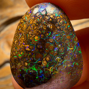 22.1cts - Tan Tribal Queensland Boulder Opal from Yowah. Electric Colour