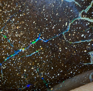 Auction Fall-Through = Your Gain! 🔥 Now More Than 50% Off RRP 🚨 19.4cts - Queensland Boulder Seam Opal