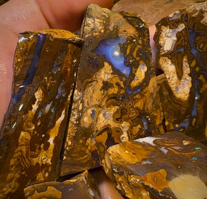 1017cts - 5x Queensland Boulder Rough Opal Parcel