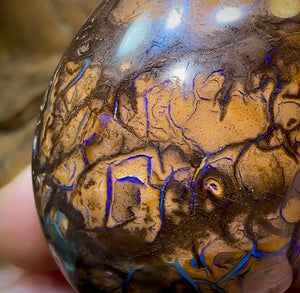 349.7cts - Yowah Nut Opal Polished Specimen. Tribal Pattern - Opal Whisperers