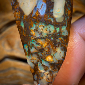 44.1cts - Vegetation Fossil Replacement Boulder Opal Rub