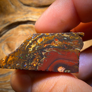 🔨 AUCTION 🔨 257.2cts - Tribal Yowah Nut Picture Stone Opal Rough Piece