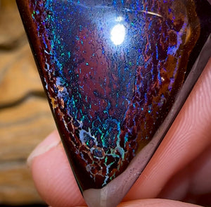 (Template) 34.5cts - Tribal Koroit Nut. Dark Ironstone - Opal Whisperers