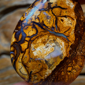 OpalFest WildCard! 22.1cts - Tribal Yowah Nut Opal. Australian Opal