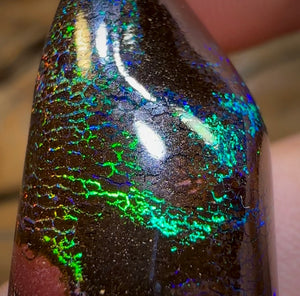25.4cts - Koroit Nut Tribal Opal. Australian Opal - Opal Whisperers