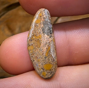 6.5cts - Solid Australian Boulder Pipe Opal Red/ Multi - Opal Whisperers