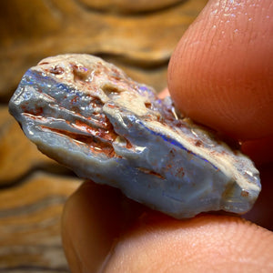 35.3cts - Lightning Ridge Opal Rough Piece