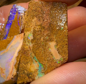 227cts - 5x Queensland Boulder Pipe Opal Rough Parcel