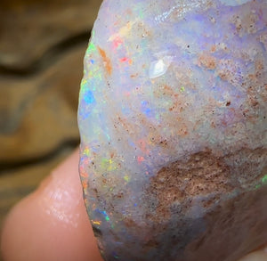 106.5cts - Opalised Shell Rare Geological Specimen from South Australia - Opal Whisperers