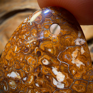 36 x 27mm - Drilled Tribal Queensland Boulder Opal