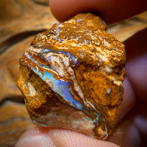 92.1cts - Vegetation Fossil Replacement Boulder Opal Rough Piece