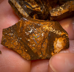 202.3cts - 6x Queensland Boulder Rough Opal Parcel. Yowah Nut >$1/ct