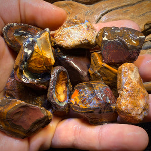 923cts - 11x Yowah Nut Rough Opal Parcel. Australian Boulder Opal
