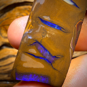 124.7cts - Queensland Boulder Opal Rough Preform from Duck Creek