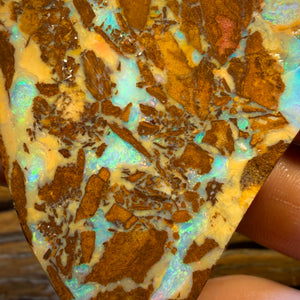 185.8cts - TOP Vegetation Fossil Replacement Boulder Opal Rub. Double Sided!