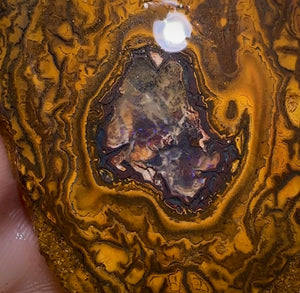 185.2cts - Yowah Nut Rough Specimen Pair. Australian Boulder Opal - Opal Whisperers