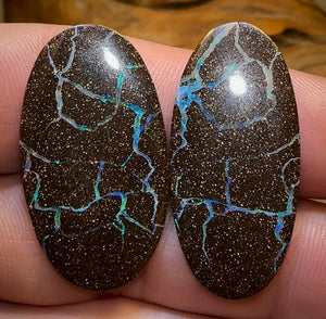 Opal Whisperers Voice Or Full Assessment Certification - Opal Whisperers