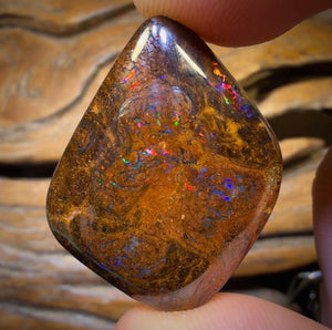 46.2cts - Queensland Boulder Opal. Bubbleband Formation With Red